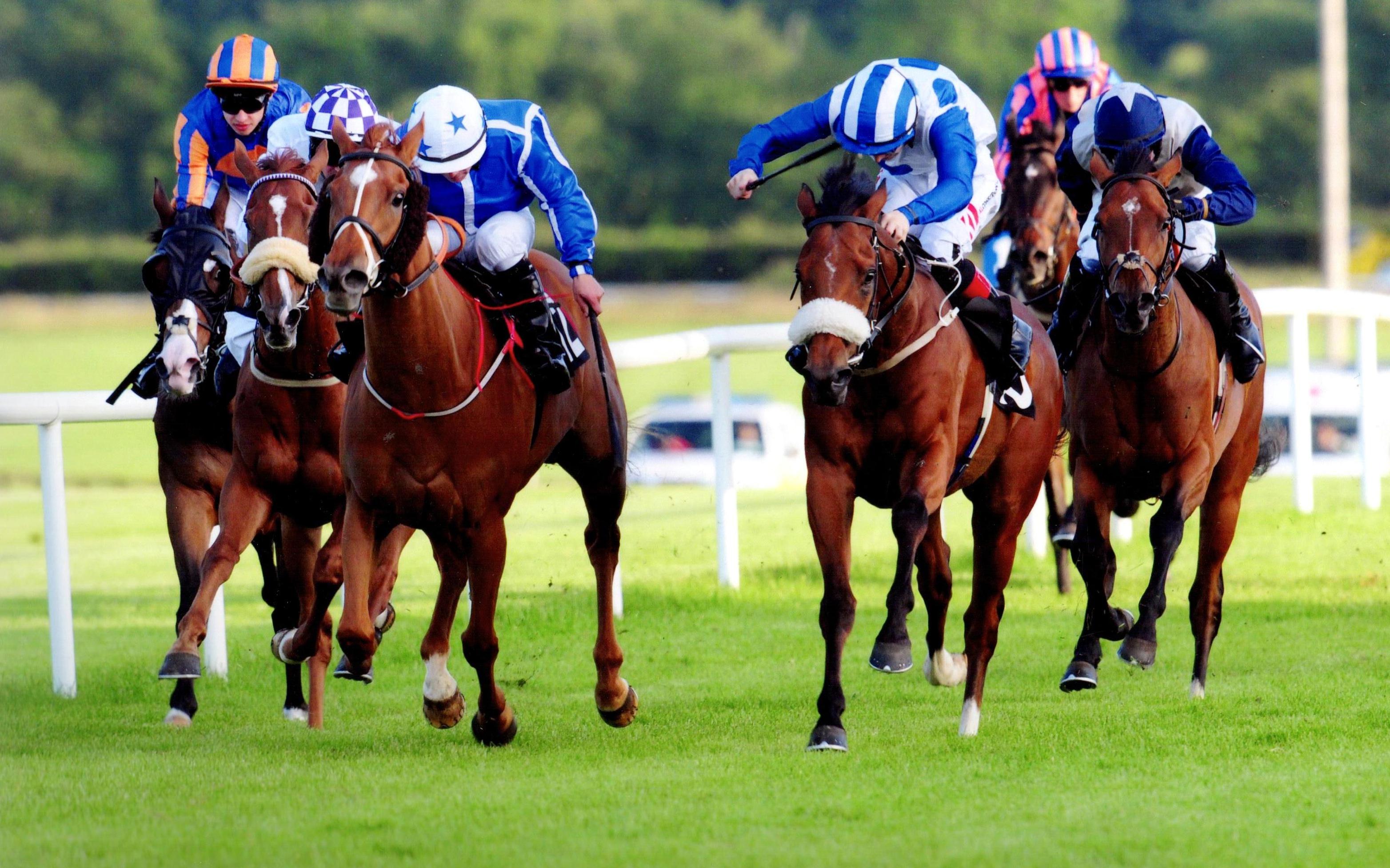 THUNDER CRASH gets his head in front at Fairyhouse 16th June 2017